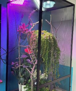 Zoo Med ReptiBreeze Open Air Screen Cage, Extra Large, 24 x 24 x 48-Inches 41 81oBdvM9oXL