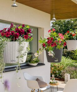 Lechuza 15190 Nido Cottage-All-In-One, White, 11 x 9 inch Self Watering Planter, D27 H23 cm 18 81oCWQIUkAL