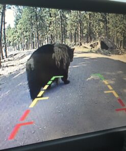 Reverse Backup Camera,170 Degree Wide View Angle Universal Car Front/Side/Rear View Camera,2 Installation Options,Removable Guildlines,Mirror Non-Mirror Image,12V only 37 81oE85EQ0RL