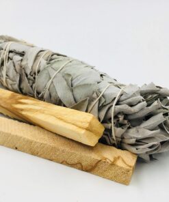 Feather Fanning Kit with Abalone Shell, Medium California White Sage, and Palo Santo Multicolor 14 81oFIqwOs L