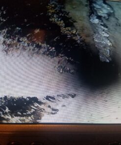 Sewer Jetter Kit 1/4" NPT x 100' Hose & 4.5 Orifice Button Nose Nozzle 4000 PSI 1/4 in. 21 81oGBWT8A1L