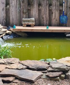 Aquascape 98949 Beneficial Bacteria Concentrate for Pond and Water Features, 1.1-Pound, white 40 81oGEOlRbKL