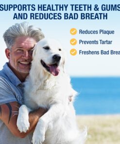 ProDen PlaqueOff Powder for Pets - Cat & Dog Breath Freshener - Plaque & Tartar Remover for Pet Oral Care - Supports Healthy Mouth for Dogs - 60g 17 81oHHebXx7L 2