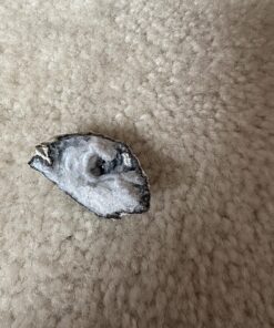 Large Size Break Open Geodes Kit 12 Whole Geodes By Ancient Treasure Adventures 51 81oJzj J4hL