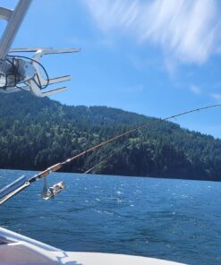 Amarine Made (2x) Stainless Tournament Style Clamp on Fishing Rod Holder for Rails 1-1/4" to 2" 39 81oK0m 8alL