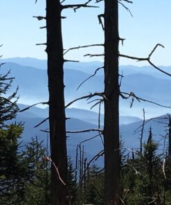 Osprey Ultralight 12L Waterproof Dry Sack One Size Tropic Teal 11 81oN8h jhYL