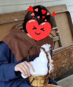 Adore 12" Standing Puffy The Silkie Chicken Plush Stuffed Animal Toy 16 81oNCLJfTIL