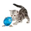 PetSafe Cat Egg-Cersizer Interactive Toy and Meal Dispenser, Use with Food or Treats - PTY00-13747,Blues & Purples Pack of 1 46 81oQRC0urZL 1