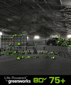 Greenworks 80V (125 MPH / 500 CFM / 75+ Compatible Tools) Cordless Axial Leaf Blower, 2.0Ah Battery and Charger Included Blower (2.0Ah) 17 81oQTOYGP L 1