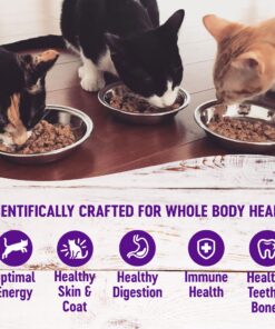 Wellness Complete Health Natural Grain Free Wet Canned Cat Food, Minced Turkey Entree, 5.5-Ounce Can (Pack of 24) 5.5 Ounce (Pack of 24) 10 81oR1aAEEWL