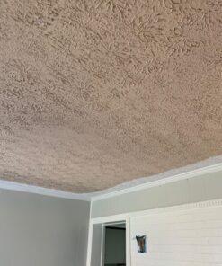 Wooster Brush R234-9 Popcorn Acoustical Roller Cover, 9/16-Inch Nap, 9-Inch foam 13 81oSCA3p72L