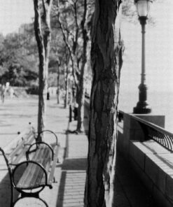 Kodak Professional 100 Tmax Black and White Negative Film (ISO 100) 35mm 36 Exposures (853 2848) 1-Pack 5 81oUQabnmL