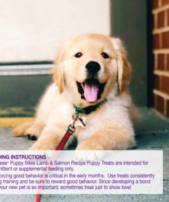 Wellness Soft Puppy Bites Natural Grain-Free Treats for Training, Dog Treats with Real Meat and DHA, No Artificial Flavors (Lamb & Salmon, 3-Ounce Bag) Soft Treats Lamb & Salmon 3 oz 28 81oXPLdcqvL