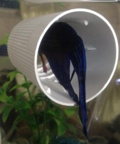 Tetra LED Betta Tank Kit 1 Gallon, Trapezoid aquarium With Base Lighting (24050) 36 81ofHCgBfL