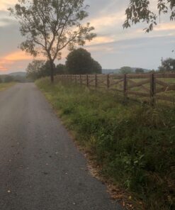 Pool Supply Town 12" x 3T 12-Inch 3 Teeth Heave Duty Steel Brush Cutter Trimmer Weed Eater Blade 32 81ofS4OEaQL