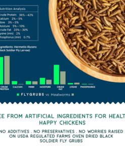FLYGRUBS Superior to Dried Mealworms for Chickens (1lb) - 85X More Calcium Than Live mealworms - Non-GMO Chicken Feed - BSFL Treats for Hens, Ducks, Turkeys, Wild Birds, Turtles, Quails 1 Pound 17 81ofgUiaWbL