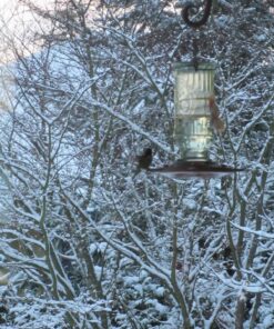 HotHands Hand Warmer Value Pack 20 Count 28 81ofzpz5mxL