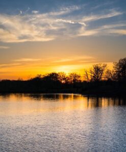 Nikon D610 24.3 MP CMOS FX-Format Digital SLR Camera (Body Only) Body Only Base 79 81oiS7e2AL