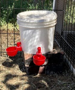 RentACoop DIY Waterer Kit - Auto-Fill Cups with Inserts - Great for Chickens, Ducks, Geese, Turkeys, Peafowl, and Quail - 2 Pack + 1 Bonus Cup Included pack of 2 35 81oj73LpqL 1