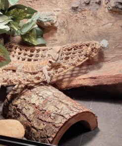 Fluker's Repta Vines for Reptiles and Amphibians Terrariums - Red Coleus 19 81ok6ejaQvL