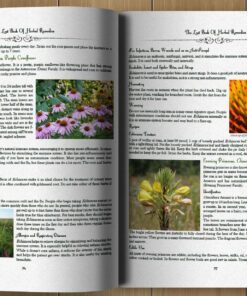 The Lost Book of Herbal Remedies 25 81okp1Vhw5L