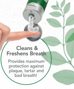 Vet’s Best Enzymatic Dog Toothpaste | Teeth Cleaning and Fresh Breath Dental Care Gel | Vet Formulated | 3.5 Ounces 1 Count 27 81olAVqWTaL