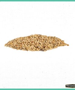 Pennington Pride Wild Finch Blend Wild Bird Seed , 10 lb 8 81oleiJUUuL