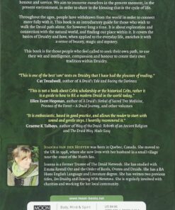 Pagan Portals - The Awen Alone: Walking the Path of the Solitary Druid Paperback 4 81onKOry zL