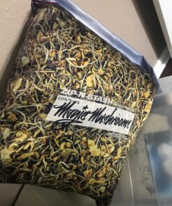 Dope Lab Shroom Stash - Baggie of Psychedelic Magic Mushrooms Pillowcase 14 81opLdFl5L