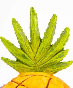 Penn-Plax Spongebob Squarepants Officially Licensed Aquarium Ornament – Spongebob’s Pineapple House – Medium 5.25" Pineapple House 24 81oso49m6TL