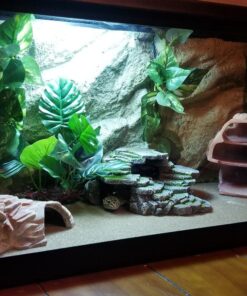 Exo Terra Background, 12-Inch by 12-Inch 12 x 12 Inches 11 81osqhWMrRL