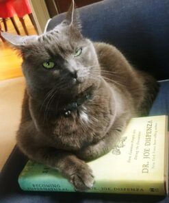 Becoming Supernatural: How Common People Are Doing the Uncommon Hardcover 19 81oyEKzJN1L