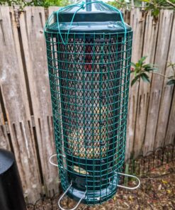 Squirrel Buster Legacy Squirrel-proof Bird Feeder w/4 Metal Perches, 2.6-pound Seed Capacity garden green 33 81p 7J1savL