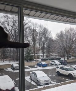 Big Mike’s High-Power 500mm/1000mm f/8 Manual Telephoto Lens for Nikon DSLR, Black 49 81p BYUyz7L