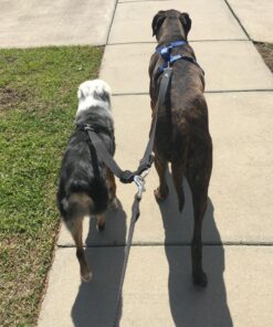 Leashboss Extra Long Double Dog Leash Coupler for Large Dogs - 16-28 Inches - Adjustable 1 Inch Heavy Duty Nylon Leash Splitter for Large Dogs (1 Inch Wide x 16-28 Inches, Black) 16-28 Inch 28 81p YtZTESL