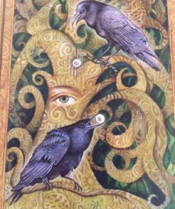 Chrysalis Tarot Cards, Box set 59 81p5F567PTL