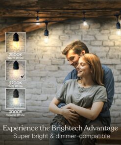Brightech Ambience Pro - Waterproof LED Outdoor String Lights - Hanging, Dimmable Vintage Edison Bulbs - 48 Ft Commercial Grade Patio Lights, Christmas Cafe Ambience in Your Backyard, 2W 15 Bulbs (2700k) Soft White 48 Feet 29 81p5JTjXVZL
