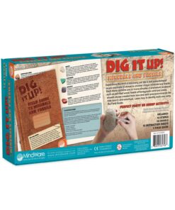 Dig It Up! Fossils & Minerals 16 81p5f6yzYHL