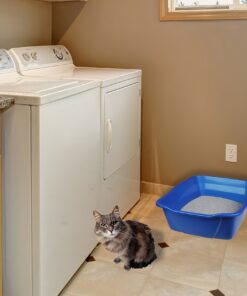 Pureness Giant Cat Litter Pan, Assorted Colors 27 81p743ZXPuL