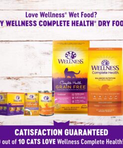 Wellness Complete Health Natural Grain Free Wet Canned Cat Food, Minced Turkey Entree, 5.5-Ounce Can (Pack of 24) 5.5 Ounce (Pack of 24) 11 81p7OyCxD1L