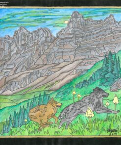 Derwent Coloured Pencils, Inktense Ink Pencils, Drawing, Art, Metal Tin, 72 Count (2301843) (Packaging May Vary) 58 81p9hg0L4 L