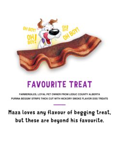 Purina Beggin' Strips With Real Meat Dog Treats, Thick Cut Hickory Smoke Flavor - 25 oz. Pouch 1.56 Pound (Pack of 1) Brown 16 81p9uMxZW2L