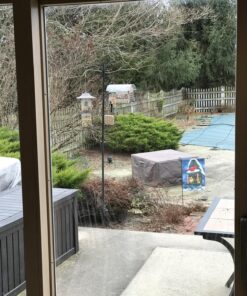 Premium Steel Sunflower Seed and Peanut Feeder, 9.5" Tall, Wild Bird Feeder for Woodpeckers, Titmice, Nuthatches, Chickadees, Jays and More, Gifts for Mom, for Women, Gifts for Dad 9.5 inch 37 81pBNdltaQL