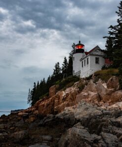 Nikon D750 w/ 24-120mm Lens 61 81pBzV mosL