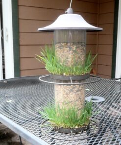 Perky-Pet 325S Panorama Bird Feeder 26 81pFaukc5hL