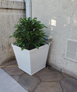 Nearly Natural 5383 3ft. Ficus Tree UV Resistant (Indoor/Outdoor),Green,Small 21 81pJiziLqJL