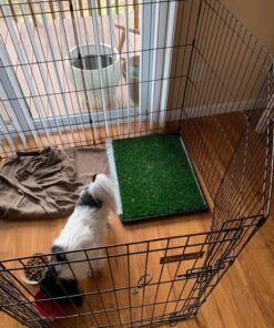 Artificial Grass Puppy Pee Pad for Dogs and Small Pets - 20x25 Reusable 3-Layer Training Potty Pad with Tray - Dog Housebreaking Supplies by PETMAKER Medium 3-Layer System 51 81pJokN69KL