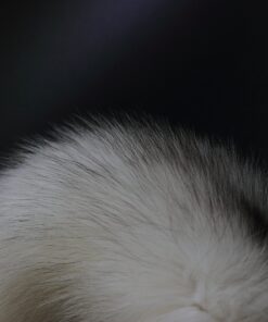 Fosrion Fluffy White Gray Arctic Fox Tail Fur Halloween Cosplay Alopex Lagopus KeyChain 28 81pKqiNyduL