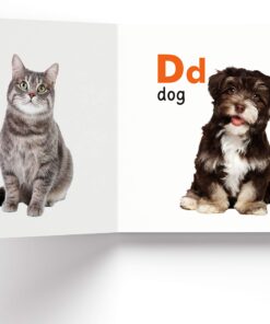 My First Library : Boxset of 10 Board Books for Kids (My First Book of) Board book 55 81pL3ojO54L