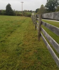 Greenworks Pro 80V Cordless Brushless String Trimmer + Leaf Blower Combo, 2Ah Battery and Charger Included STBA80L210 16" Trimmer + Blower (2.0Ah) 42 81pNdSdQ5sL